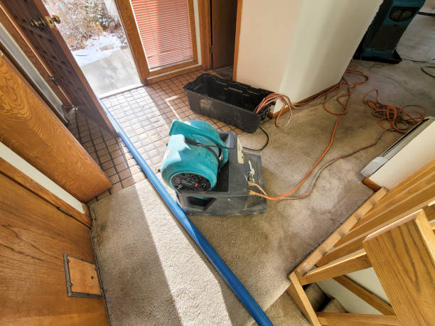 Best Commercial water damage restoration  in Enterprise, OR