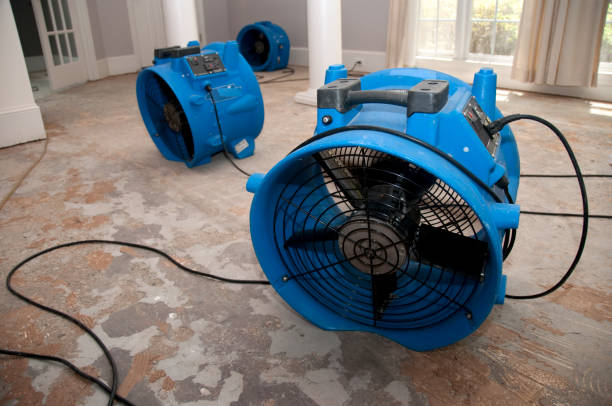 Best Mold removal after water damage  in Enterprise, OR