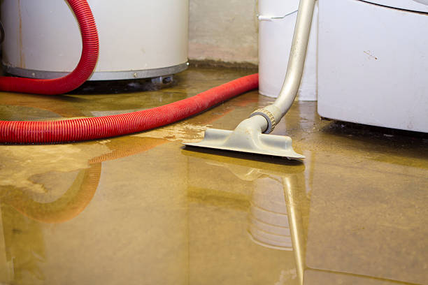 Best Carpet water damage restoration  in Enterprise, OR