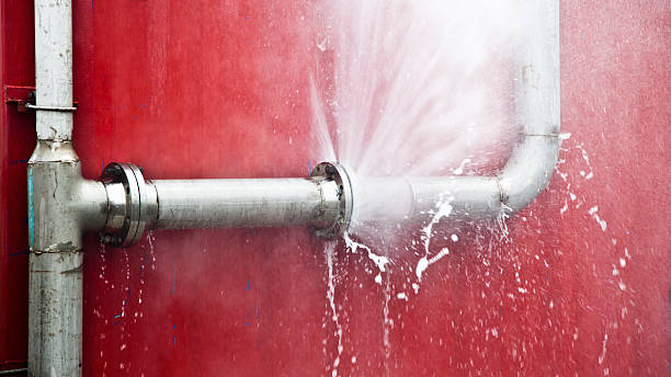 Best Local water damage restoration  in Enterprise, OR
